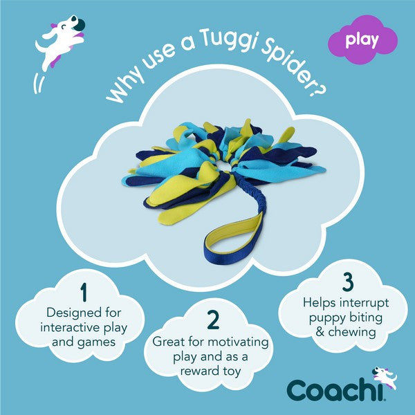 Company of Animals Coachi Play Tuggi Spider