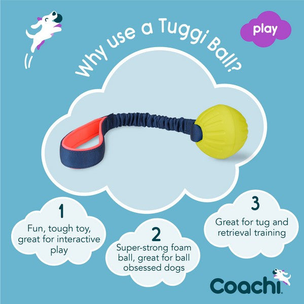 Company of Animals Coachi Play Tuggi Ball