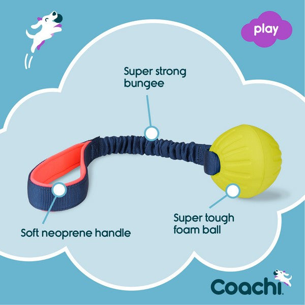 Company of Animals Coachi Play Tuggi Ball