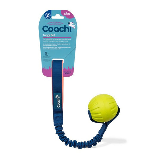Company of Animals Coachi Play Tuggi Ball