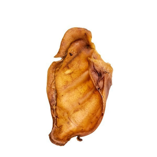 Pigs Ear - Single Pig Ear
