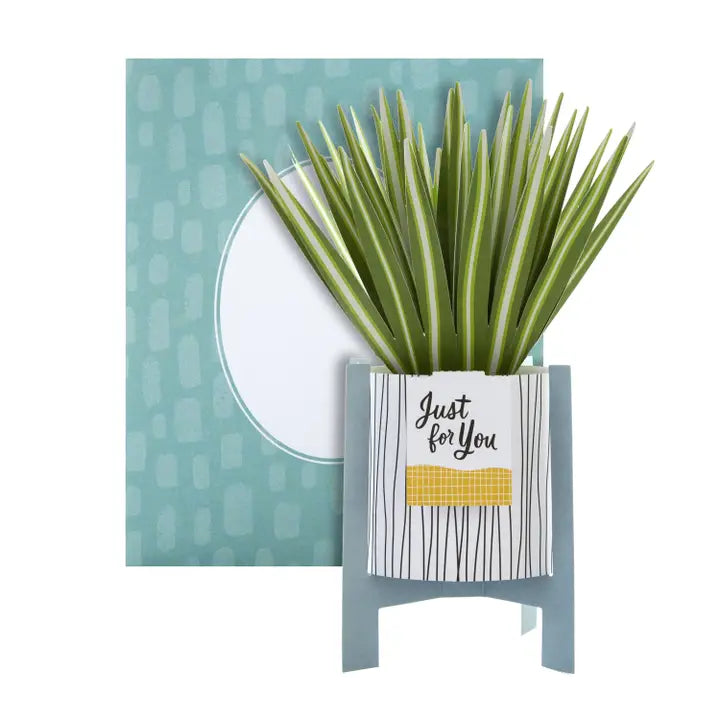 Hallmark Paper Wonder Pop-up Plant Card - Spider Plant