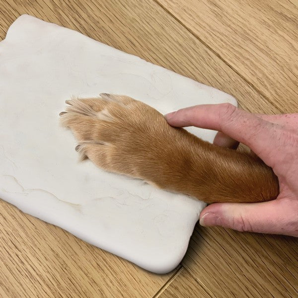 Oh So Precious Paw Print Clay Mould & Frame Kit
