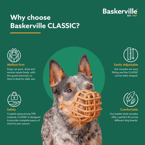 CoA Baskerville Classic Muzzle Brown