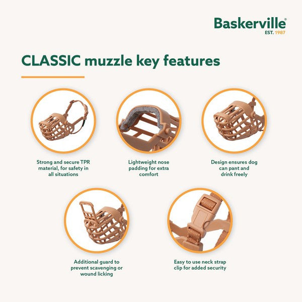 CoA Baskerville Classic Muzzle Brown