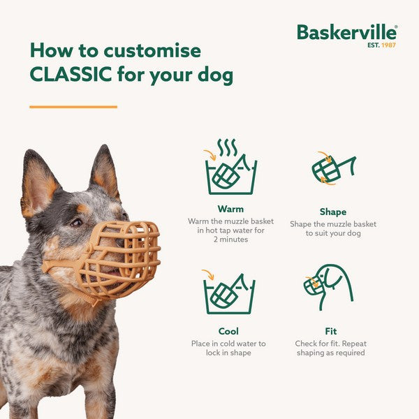 CoA Baskerville Classic Muzzle Brown