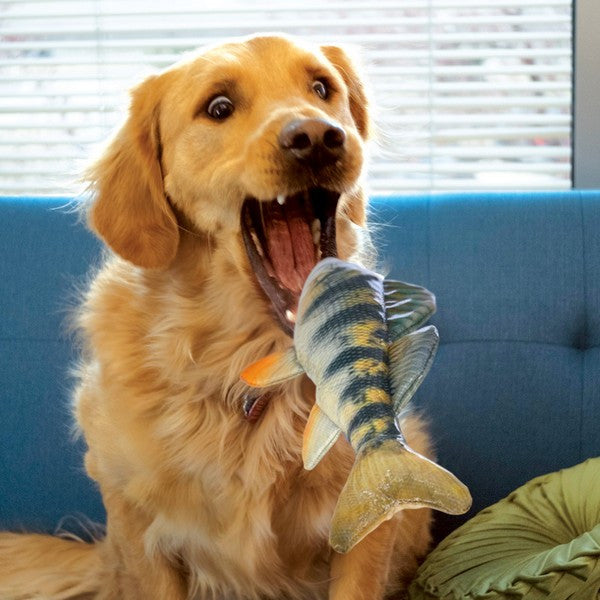 KONG Wild Shieldz Perch Toy