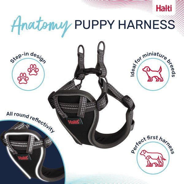 Company of Animals Halti Anatomy Harness Puppy Grey