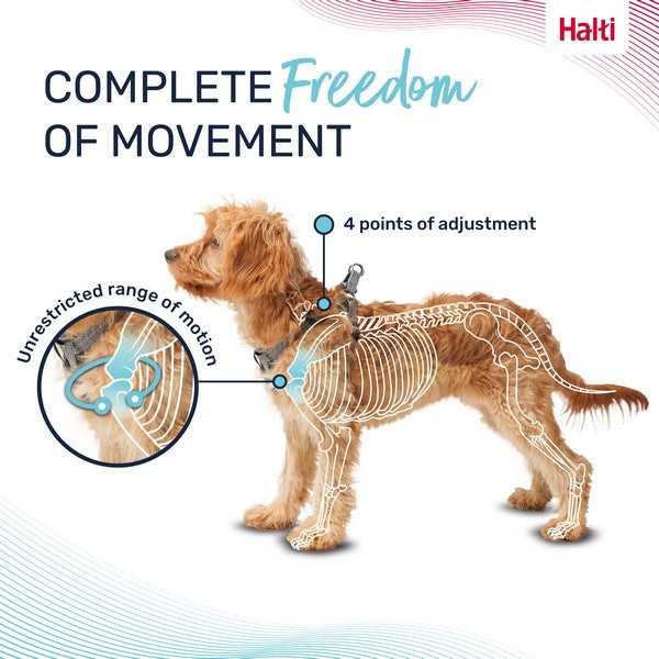 Company of Animals Halti Anatomy Harness Puppy Grey