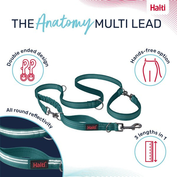 Company of Animals Halti Anatomy Multi Lead Teal