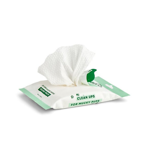 Beco Bamboo Dog Travel Wipes - Unscented