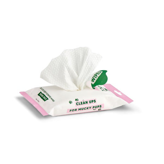 Beco Bamboo Dog Travel Wipes - Coconut