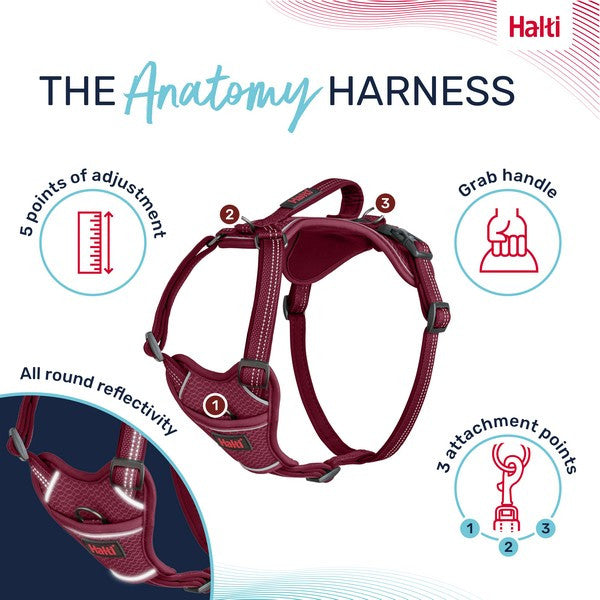 Company of Animals Halti Anatomy Harness Magenta