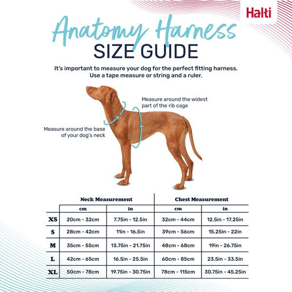 Company of Animals Halti Anatomy Harness Magenta