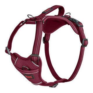 Company of Animals Halti Anatomy Harness Magenta