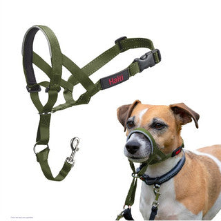 Company of Animals Halti Headcollar Forest Green