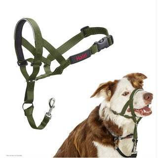 Company of Animals Halti Headcollar Forest Green