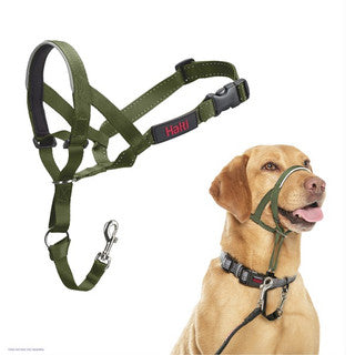 Company of Animals Halti Headcollar Forest Green