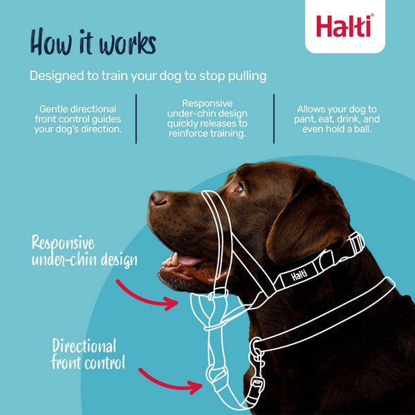 Company of Animals Halti Headcollar Forest Green