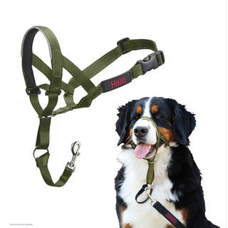 Company of Animals Halti Headcollar Forest Green