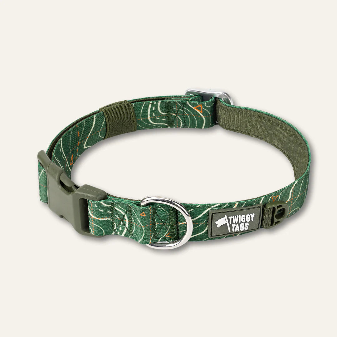 Twiggy Tags Apex Collar - Nomad