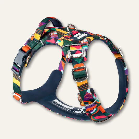 Twiggy Tags Adventure Harness 2.0 Aurora -