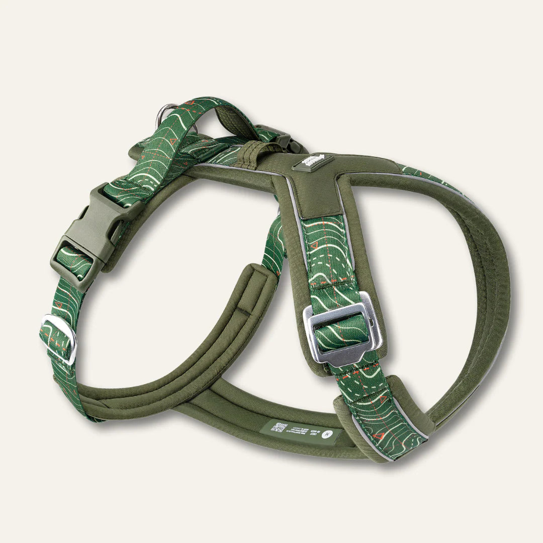 Twiggy Tags Apex Harness - Nomad