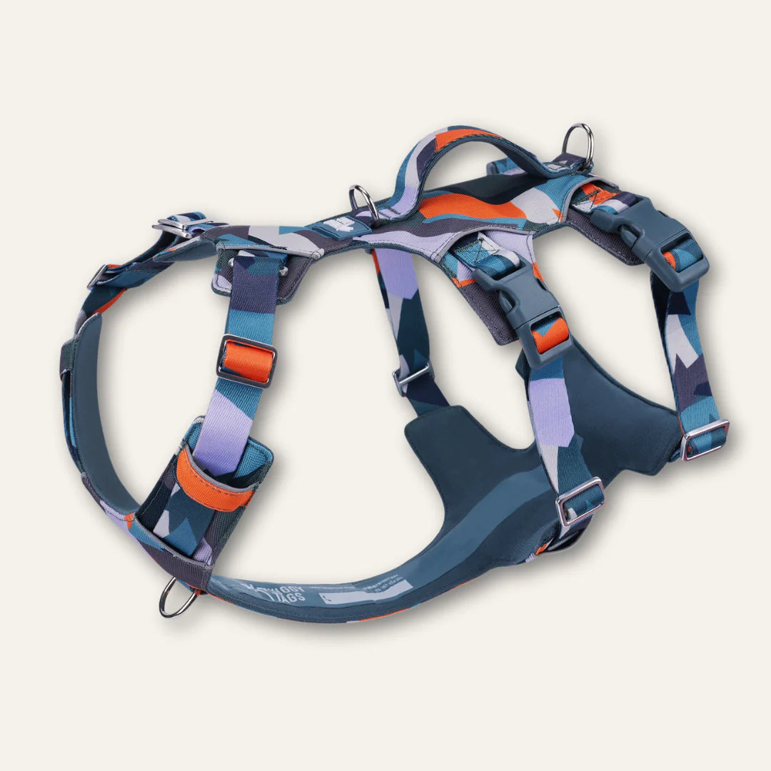 Twiggy Tags Scramble Harness - Ridge