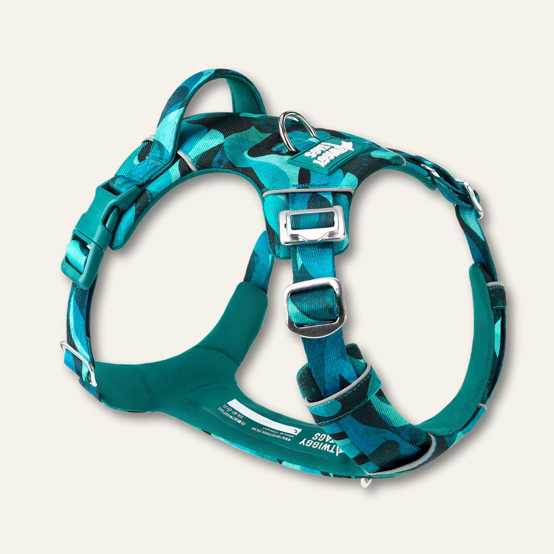 Twiggy Tags Adventure Harness 2.0 Lagoon