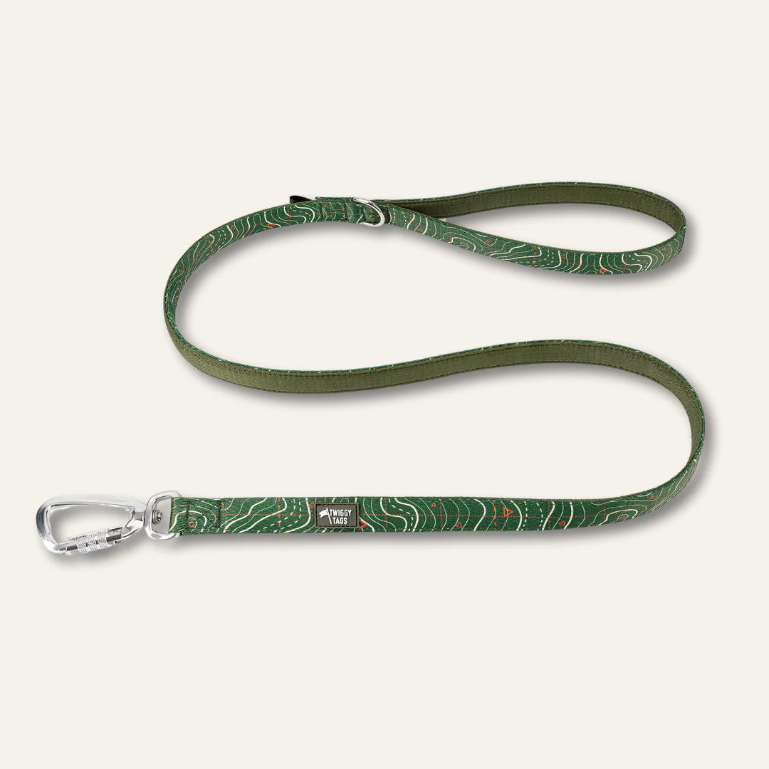 Twiggy Tags Apex Lead 1.2m - Nomad