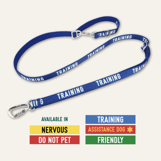 Twiggy Tags Awareness Multiway Lead - Training