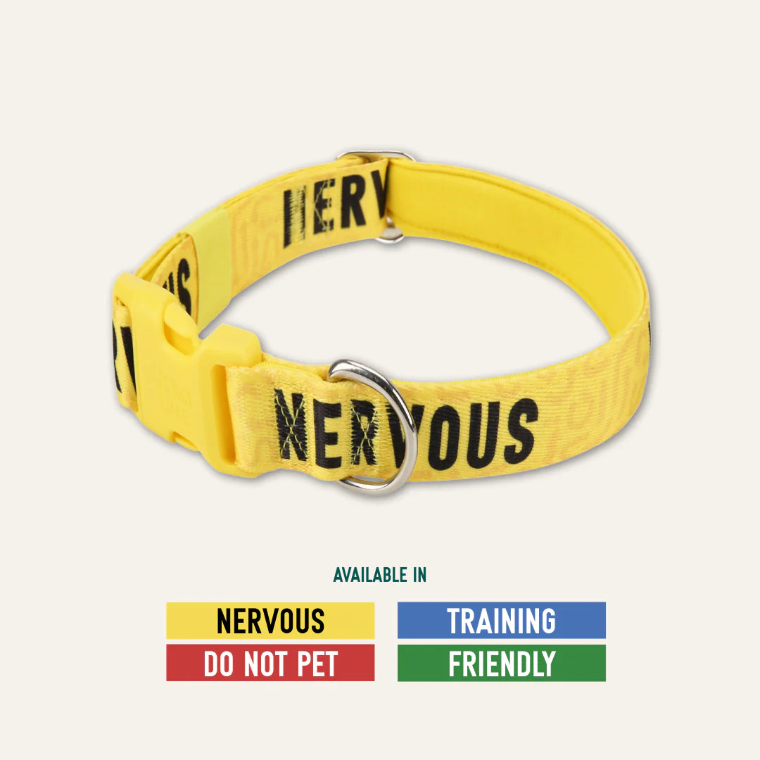 Twiggy Tags Awareness Collar Nervous
