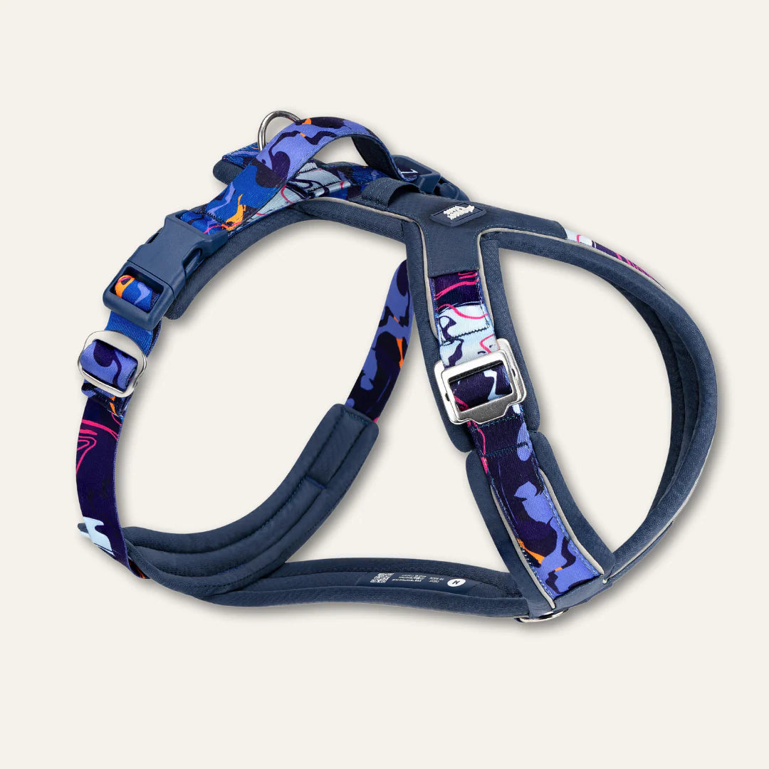 Twiggy Tags Apex Harness - Nebula