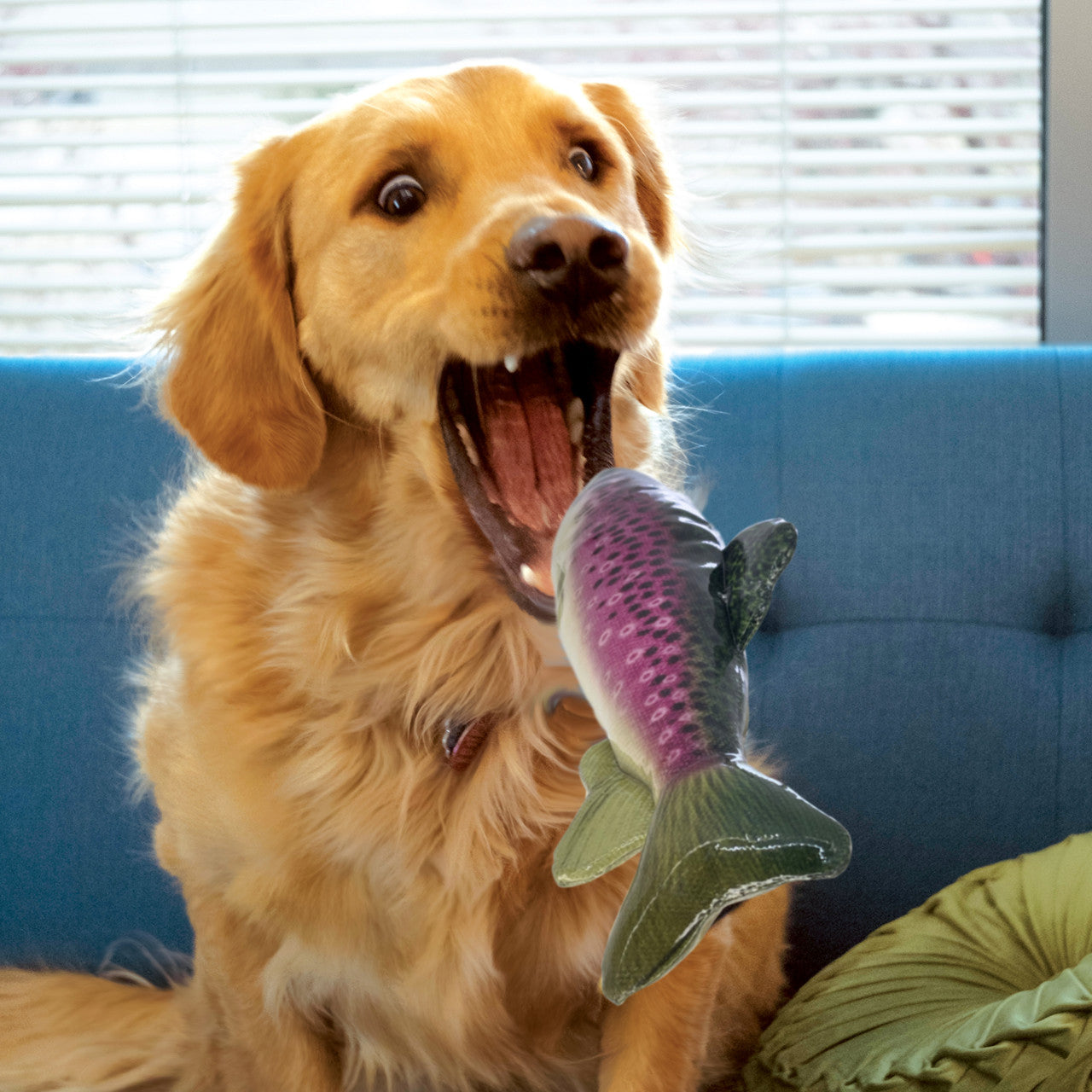 KONG Wild Shieldz Trout Toy