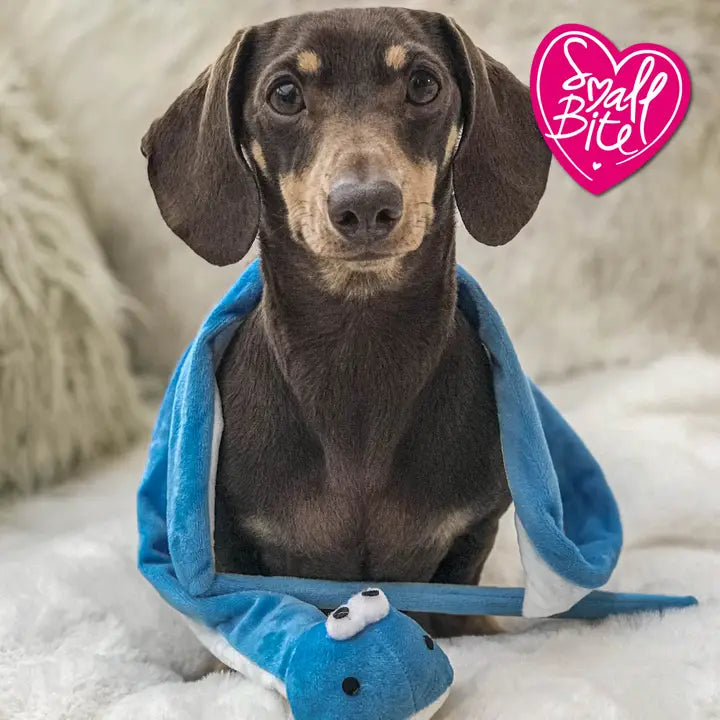 Small Bite Snake Teaser