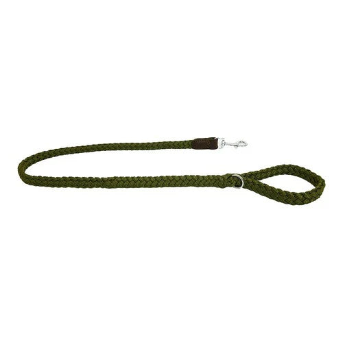 Earthbound Braided Nylon Leather Lead Green