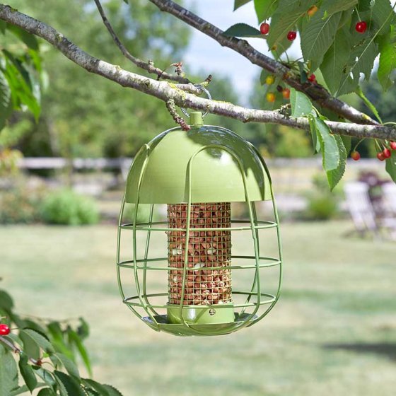 Acorn Squirrel Proof Peanut Feeder