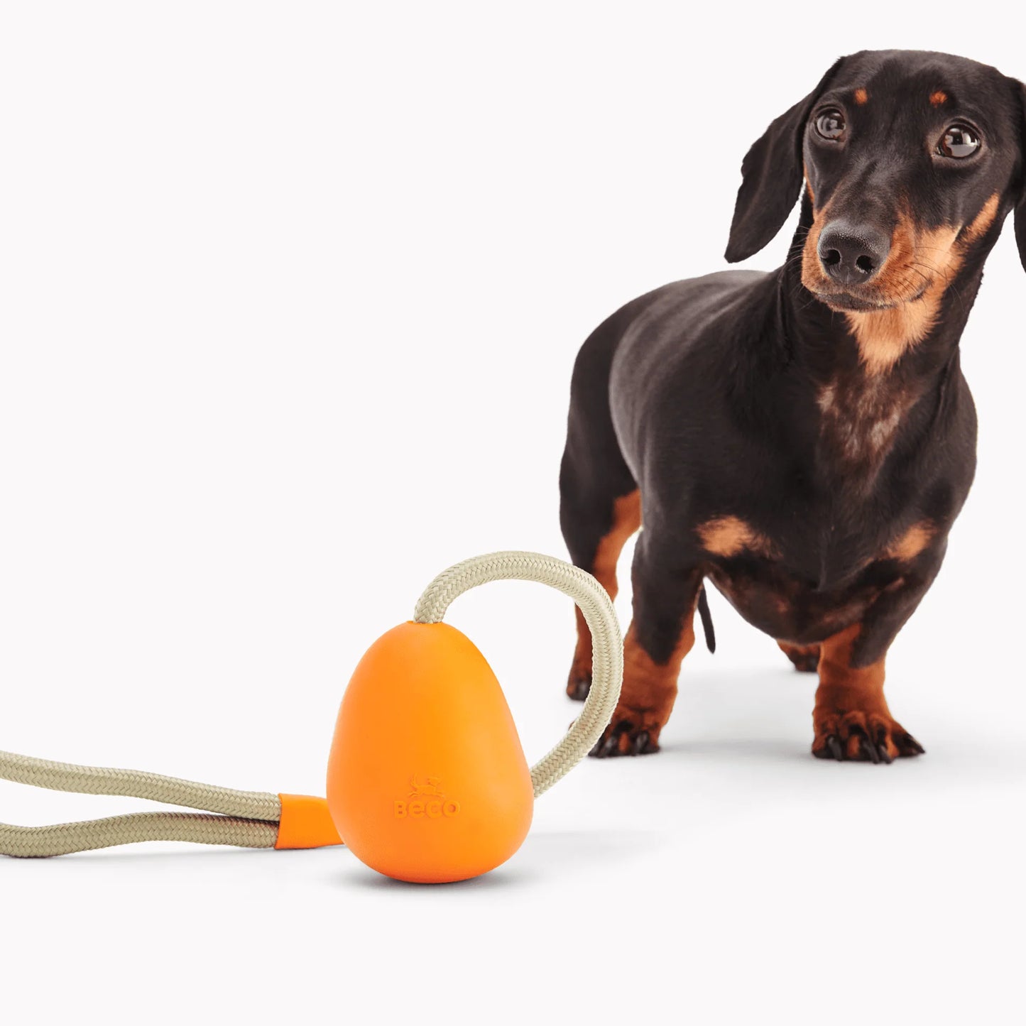 Beco Rubber Slinger Pebble - Orange
