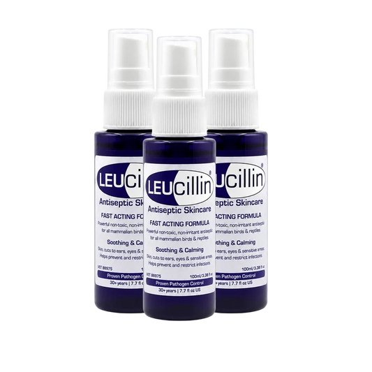 Leucillin Antiseptic Spray Handy Pocket Mini 30ml - 3 Pack