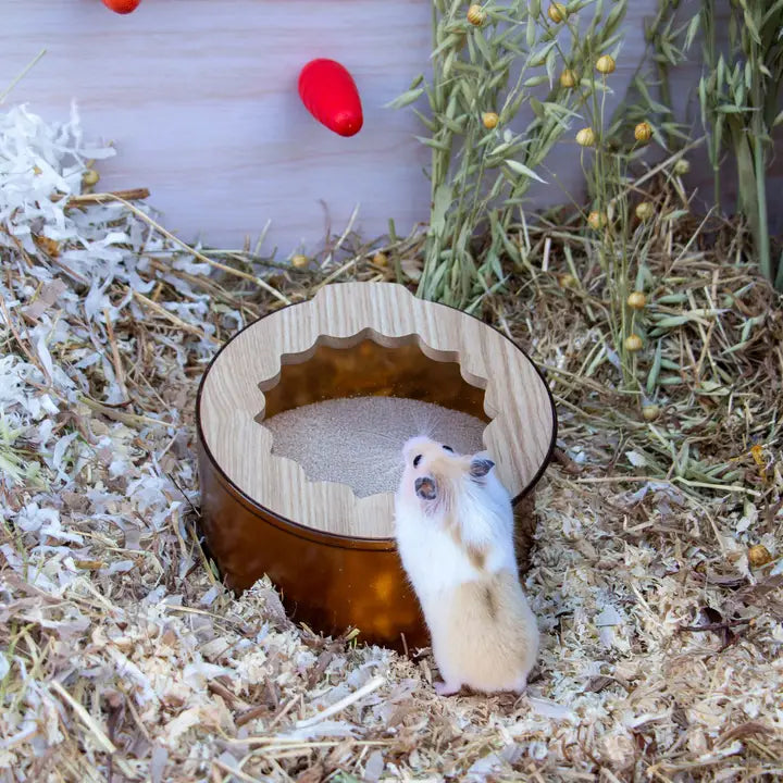 Ancol Small Animal Sand Bath & Dig Box