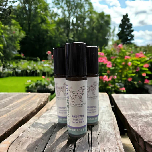 Mr. Slobberchops RollerDog Restful