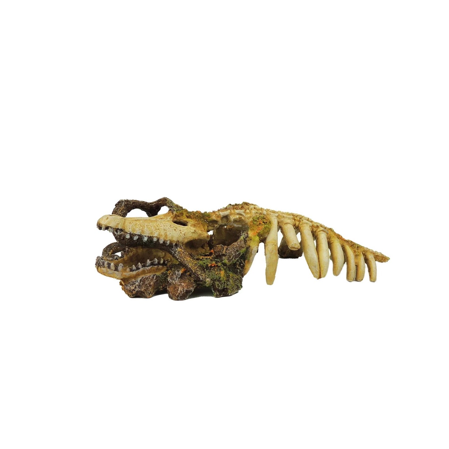 Classic Ornament Crocodile Skeleton