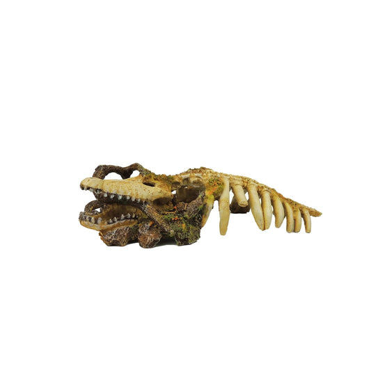Classic Ornament Crocodile Skeleton