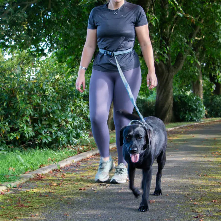 Ancol Extreme+ Running Lead Shock Absorb