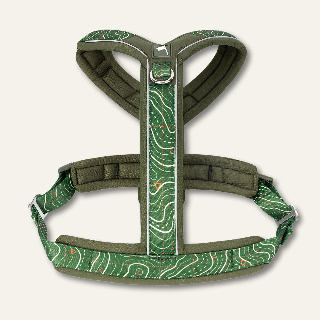 Twiggy Tags Apex Harness - Nomad