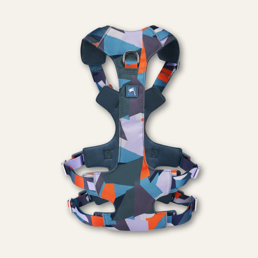 Twiggy Tags Scramble Harness - Ridge