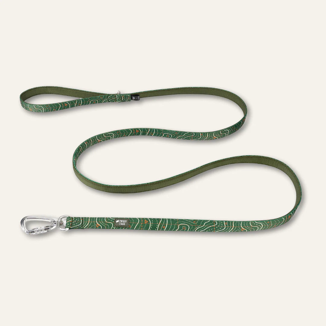 Twiggy Tags Apex Lead 2m - Nomad