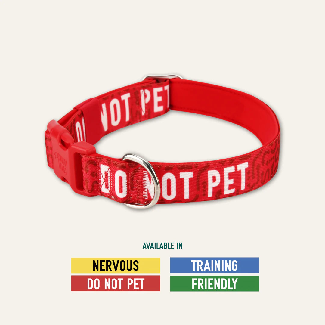 Twiggy Tags Awareness Collar Do Not Pet