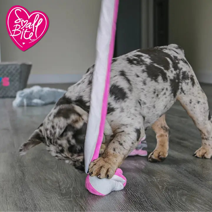 Small Bite Snake Teaser