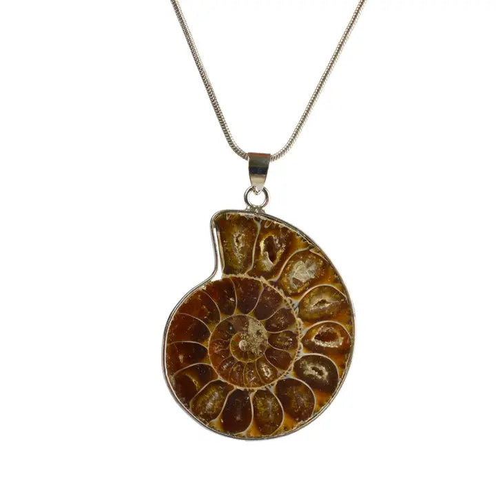 British Fossils - Fossil Ammonite Pendant